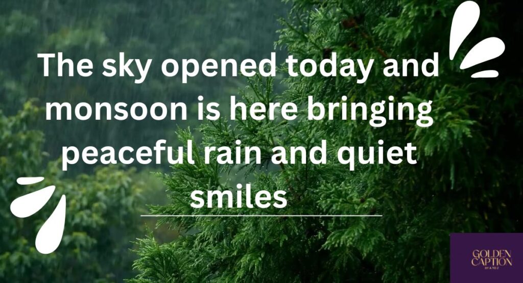 monsoon is here quotes