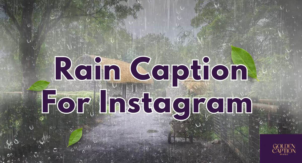 monsoon is here quotes