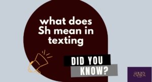 sh meaning in chat