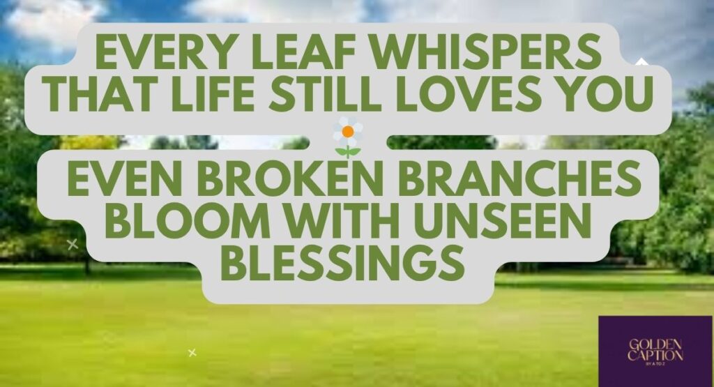 tree-captions-for-instagram