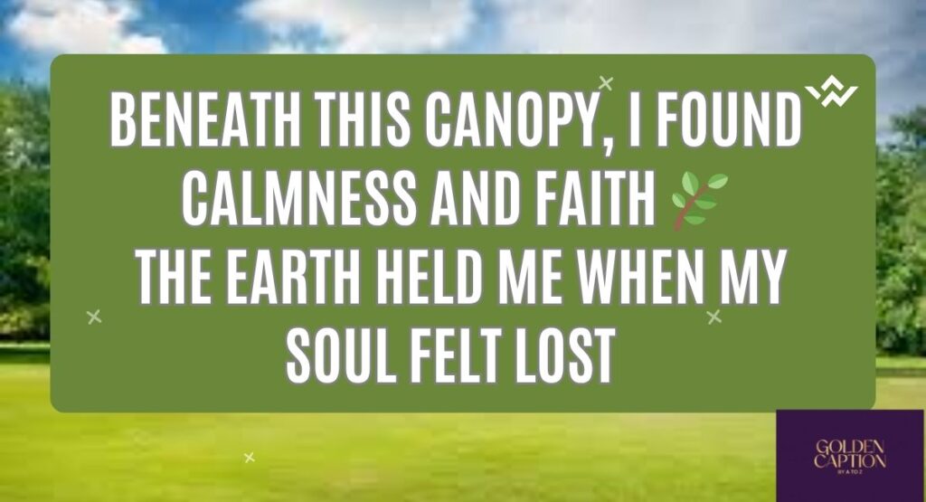 tree-captions-for-instagram