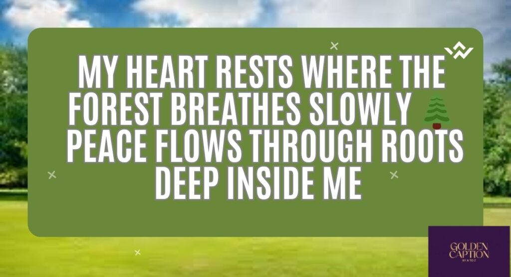 tree-captions-for-instagram