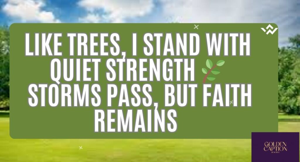 tree-captions-for-instagram