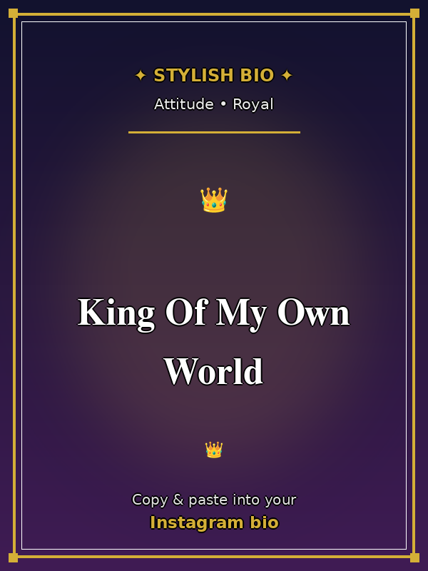 Instagram Bio for Boys Stylish Font